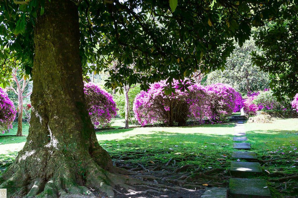 Hotel Villa E Palazzo Aminta Stresa Eksteriør bilde